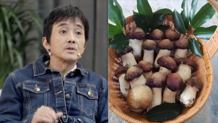 管家婆一肖一吗资料网站,董宇辉新歌吾乡发布,经典解释落实_正式版V1.64