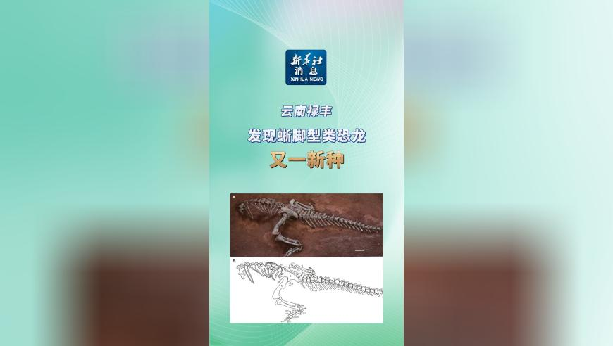 澳门2025全年正版资料大全下载,AI陪聊乱象调查,最新核心解答落实_豪华版V1.4