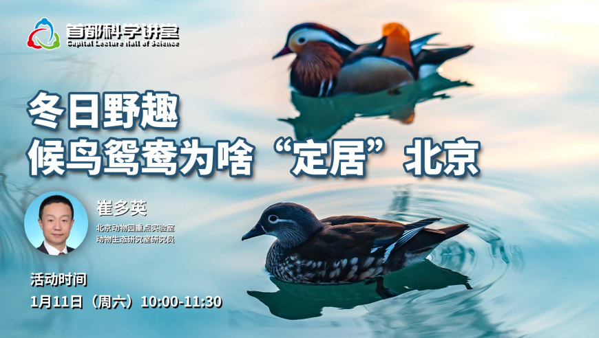 二四六旺角彩图文资讯赢彩吧,央行启用M1新统计口径,广泛的解释落实支持计划_iosV4.79