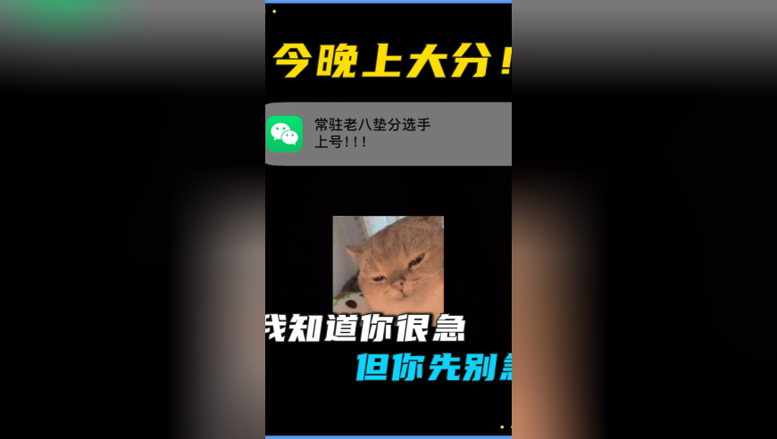 勇士大胜独行侠,澳门金牛版三肖三码精准,权威独家讨论与热门话题_网红版V2.73