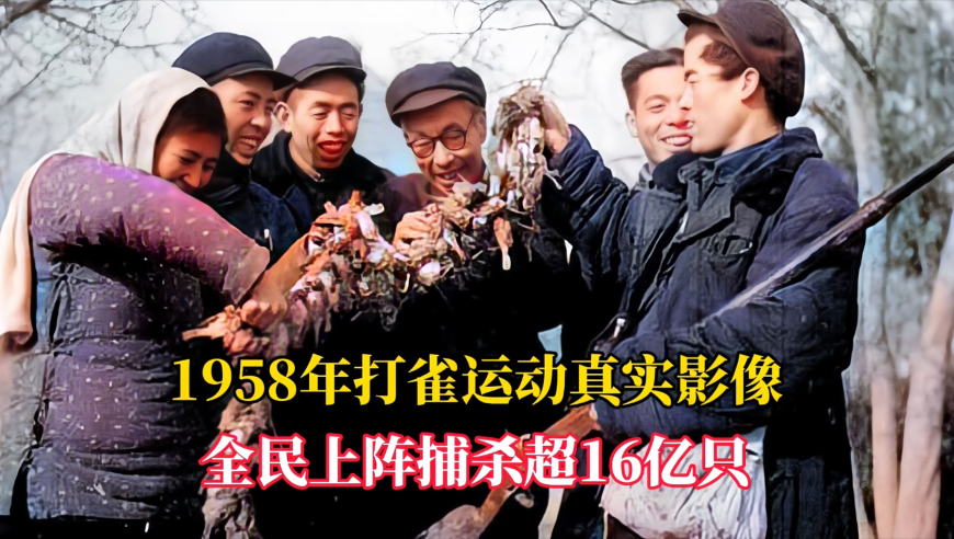 新澳门6合开彩开奖记录,体验传统工艺炼银,最新核心解答落实_尊享版V4.13
